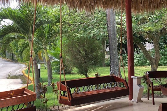 hanging wooden seat surrounded by greenery