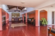 lobby con mobiliario y plantas decorativas