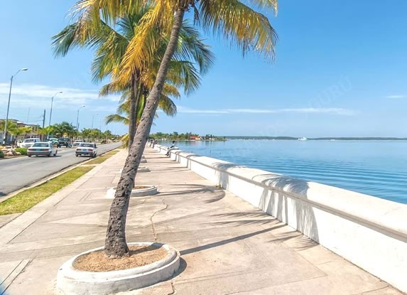 Palm trees on the Cienfuegos boardwalk