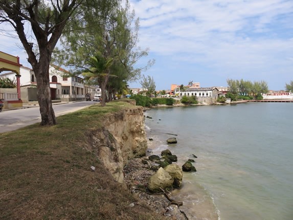 malecón con árboles al borde 