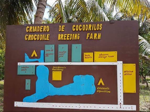 mapa de colores del criadero de cocodrilos