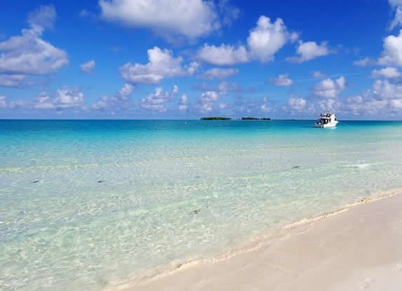 beach with crystal clear waters and golden sands