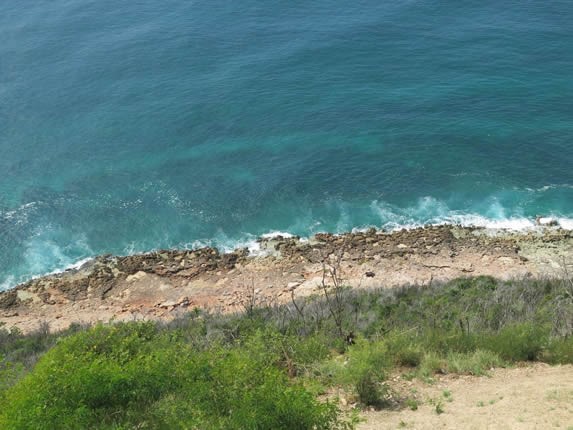 orilla del mar con roca y vegetación