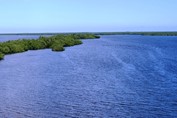 laguna con abundante manglar 