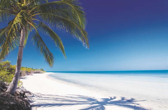 beach with palm trees and golden sands