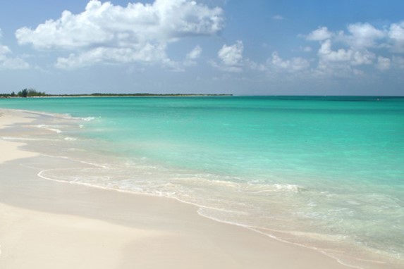 orilla de la playa con vegetación a lo lejos