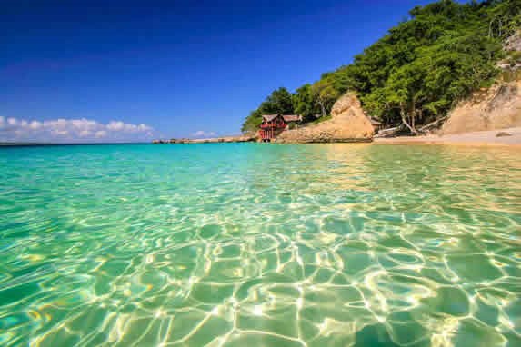 playa de aguas transparentes y vegetación