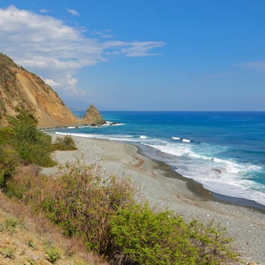 beach with vegetation and mountains