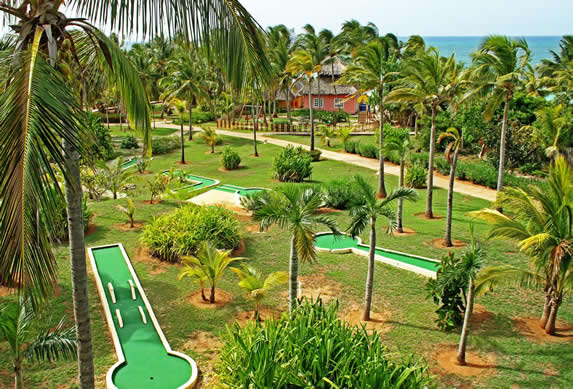 small golf course with palm trees