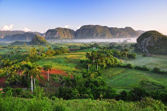 view of the mountains with abundant vegetation