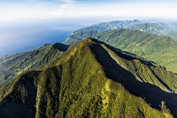 aerial view of mountains dense in vegetation