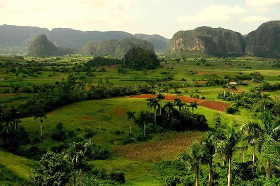 Pinar del Rio, Viñales and Cayo Levisa Picture 0