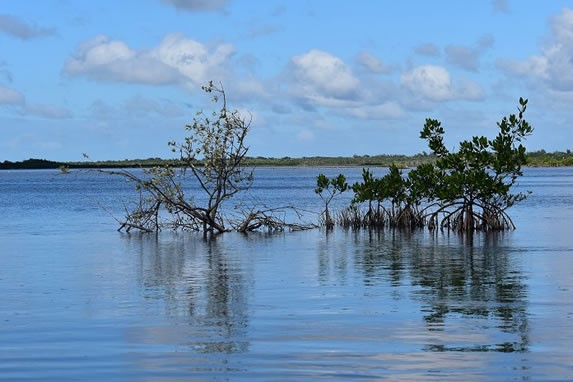 Vista del monte Cabaniguan, Las Tunas 