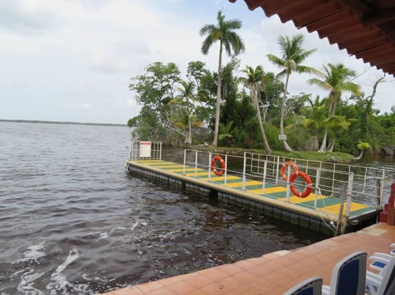 muelle en el agua con vegetación