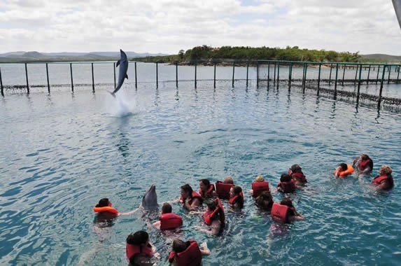 turistas en el estanque bañándose con los delfines