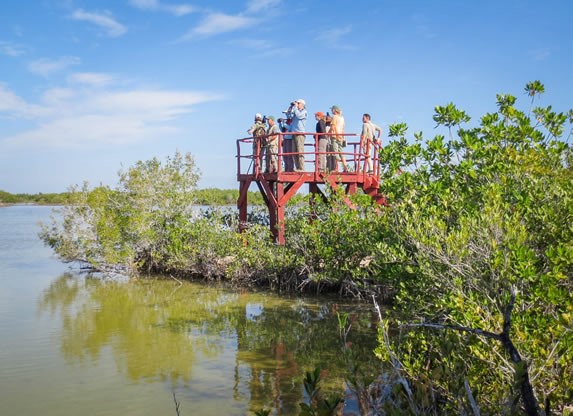 grupo de biólogos observando aves en la laguna