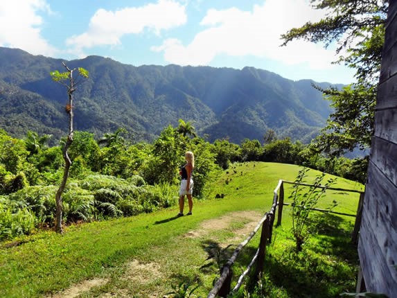 paisaje con montañas y vegetación abundante