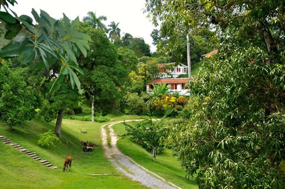 green landscape with tile hut in the background