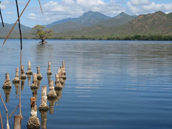 laguna rodeada de montañas y vegetación