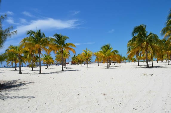 palmeras en la arena dorada bajo el cielo azul