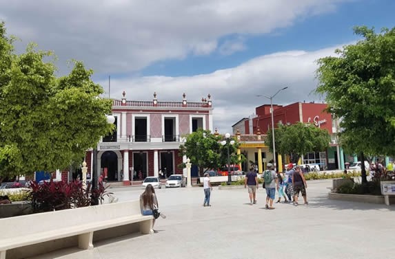 parque con bancos y árboles frondosos