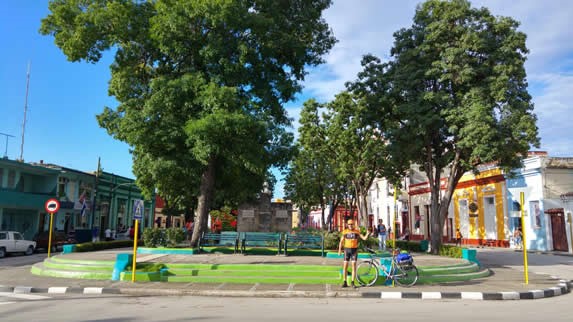 parque con grandes árboles y edificios alrededor 