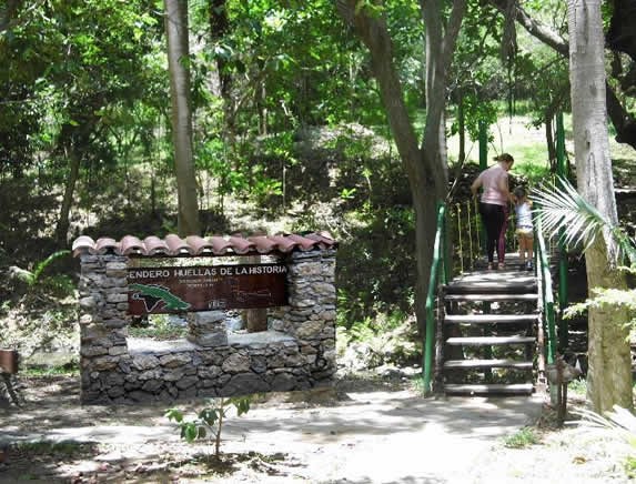 Extensive vegetation in El Cubano park