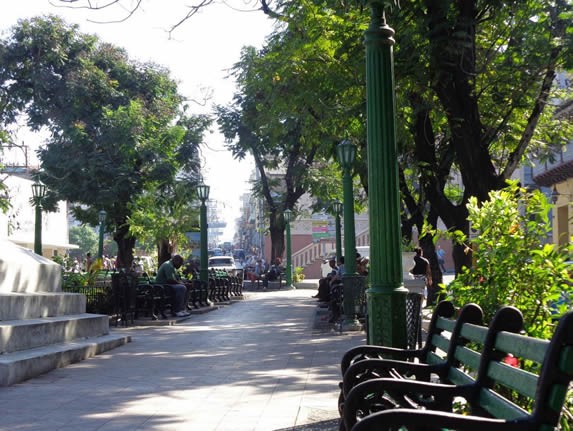 paseo rodeado de bancos y vegetación