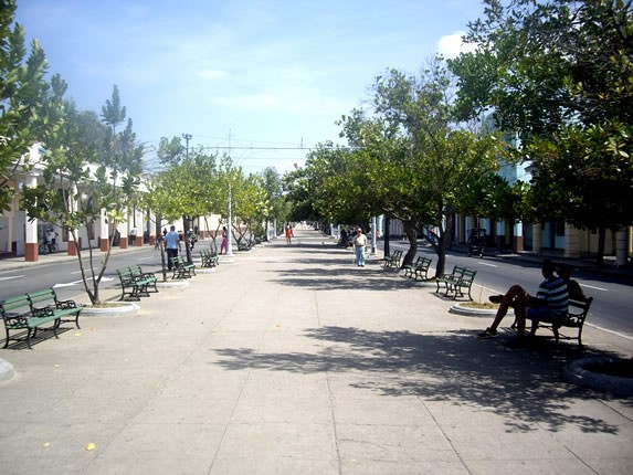 walk with benches and plants