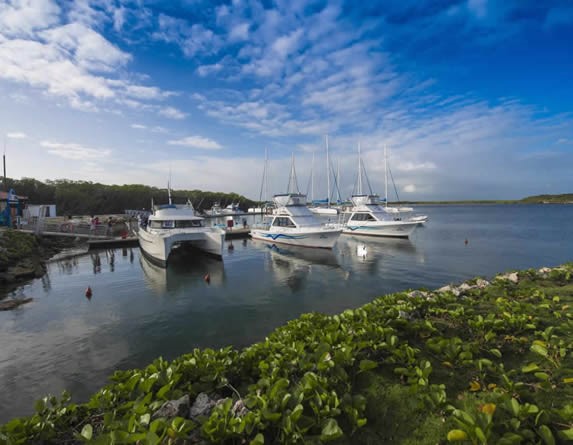 dock with medium boats