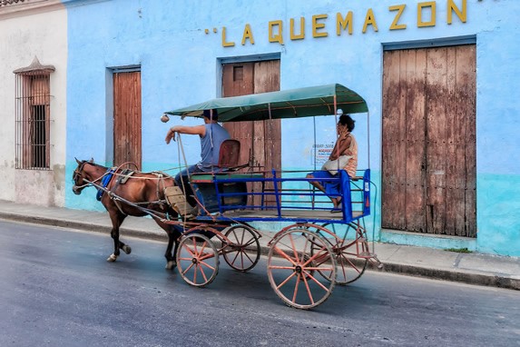 cart with horse through the streets of the city