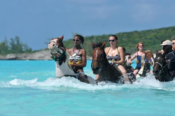 tourists on horses in the water