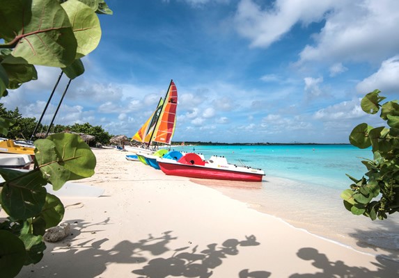 water bikes and catamarans on the shore