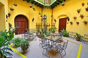 interior patio with greenery and furniture