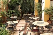 patio with furniture and abundant vegetation