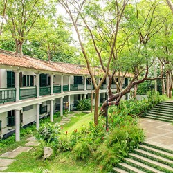 gardens with abundant vegetation