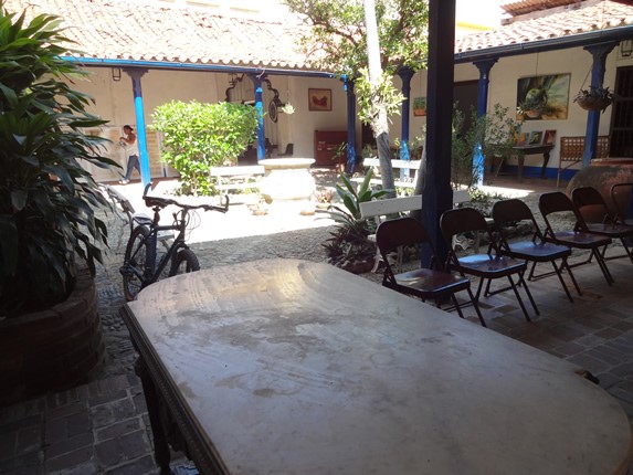 interior courtyard with vegetation and furniture