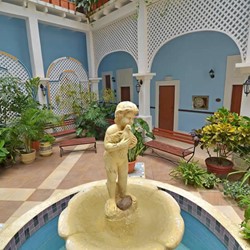 inner courtyard with fountain and vegetation