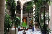 Patio interior con amplia vegetación