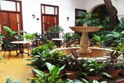 Courtyard view with fountain in the hotel