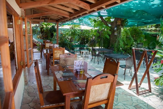 furniture in the courtyard surrounded by greenery