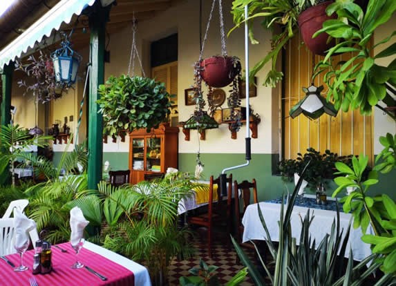 Wide vegetation inside the restaurant