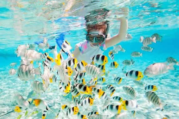 tourist snorkeling surrounded by fish