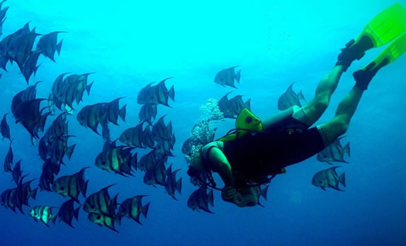 buzo nadando junto a peces de colores