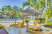 Pool surrounded by palm trees and sun loungers