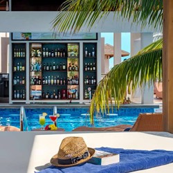 piscina con bar a la altura del agua y palmeras