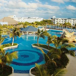 pool surrounded by palm trees