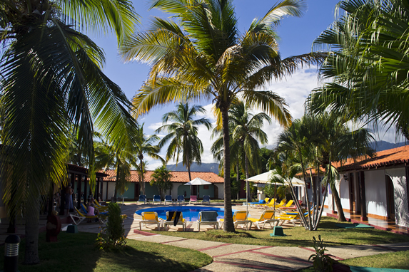 Pool surrounded by sun loungers and palm trees