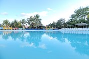 Pool surrounded by palm trees and sun loungers