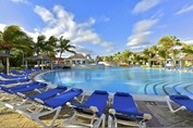 pool surrounded by sun loungers and palm trees